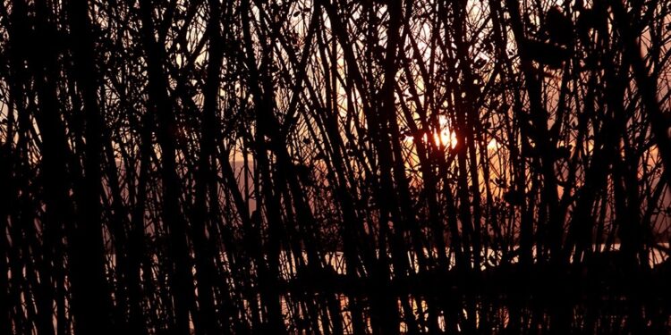 Exposição fotográfica ‘Finito’ é atração no Museu de Arte e Cultura de Caraguatatuba