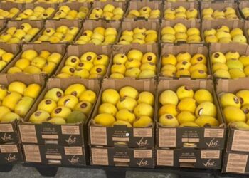 Banco de Alimentos de Caraguatatuba repassa doação de 1,5 tonelada de melão para entidades