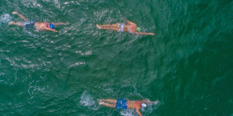 Natação em águas abertas agita o Cantão do Indaiá, em Bertioga