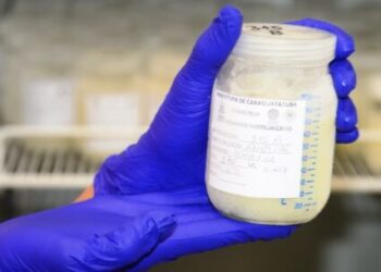 Caraguatatuba tem aumento de 70% nas doações de leite humano