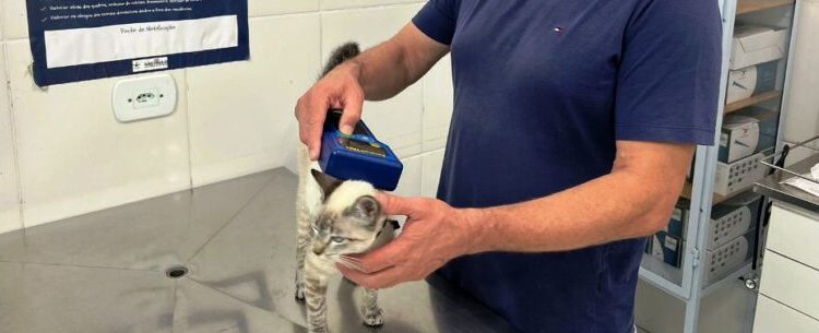 CCZ de Caraguatatuba implanta mais de 1,7 microchips em animais neste ano
