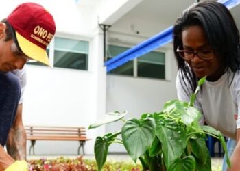 Curso de Técnicas de Jardinagem chega ao fim e alunos já alcançam novas oportunidades de trabalho