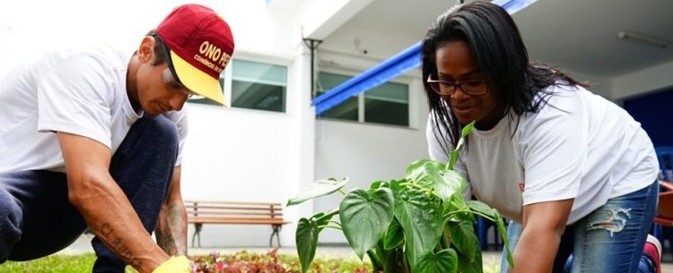 Curso de Técnicas de Jardinagem chega ao fim e alunos já alcançam novas oportunidades de trabalho