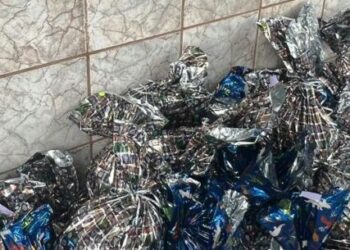 Fundo Social de Caraguatatuba doa brinquedos para entidade social Casa Beija Flor