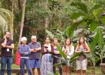 Cerca de 50 aves reabilitadas são devolvidas à natureza em Caraguatatuba