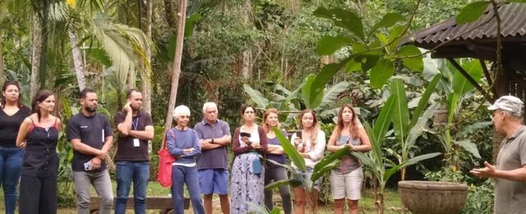 Cerca de 50 aves reabilitadas são devolvidas à natureza em Caraguatatuba