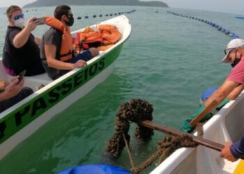 Caraguatatuba recebe visita de jornalistas e influenciadores da América Latina