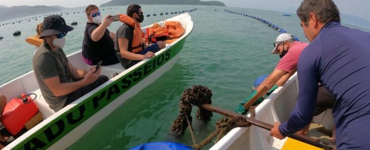 Caraguatatuba recebe visita de jornalistas e influenciadores da América Latina