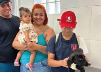 Feira de adoção permite novos lares para seis animais em Caraguatatuba