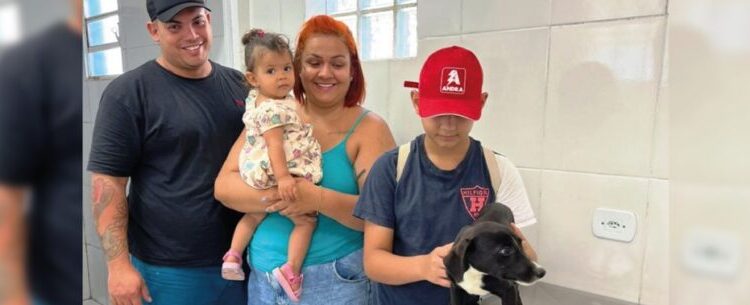 Feira de adoção permite novos lares para seis animais em Caraguatatuba