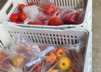 Banco de Alimentos de Caraguatatuba distribui quase duas toneladas de alimentos em setembro