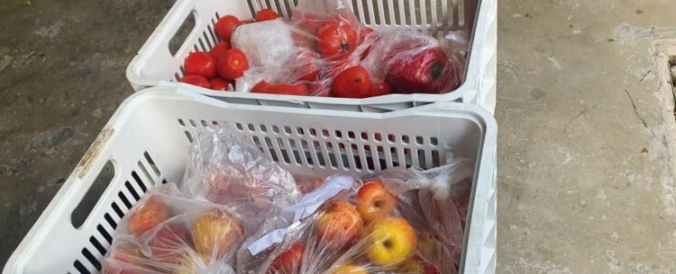 Banco de Alimentos de Caraguatatuba distribui quase duas toneladas de alimentos em setembro