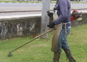 Prefeitura de Caraguatatuba aguarda mais 18 bolsistas do PEAD na próxima semana