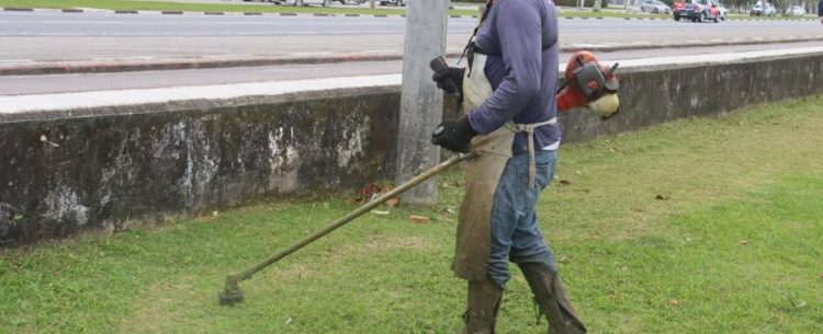 Prefeitura de Caraguatatuba aguarda mais 18 bolsistas do PEAD na próxima semana