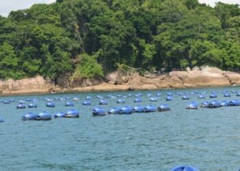 Prefeitura de Caraguatatuba estima mais de 15 mil pessoas em três eventos neste final de semana