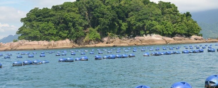 Prefeitura de Caraguatatuba estima mais de 15 mil pessoas em três eventos neste final de semana