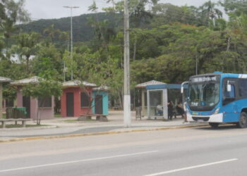 Prefeitura cria linha especial de ônibus para transporte de passageiros ao ‘Caraguá Tá Show’