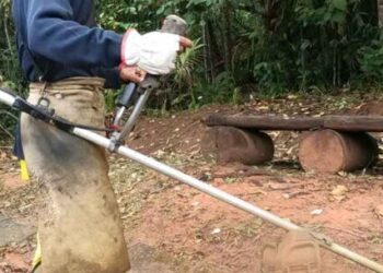 Prefeitura de Caraguatatuba divulga lista de chamada de bolsistas do PEAD desta semana