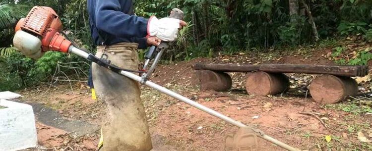 Prefeitura de Caraguatatuba divulga lista de chamada de bolsistas do PEAD desta semana