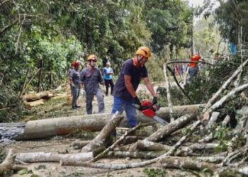 Equipes da Prefeitura de Caraguatatuba finalizam trabalhos em áreas atingidas por rajadas de ventos de 70 km/h
