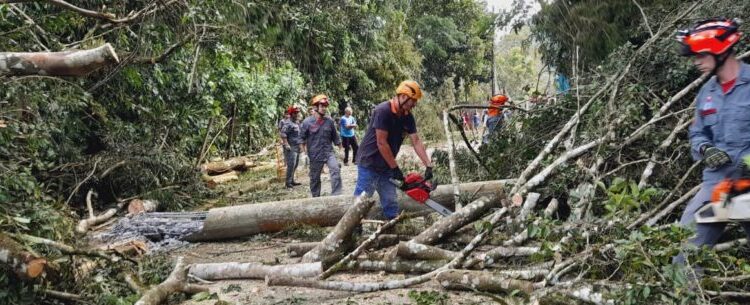 Equipes da Prefeitura de Caraguatatuba finalizam trabalhos em áreas atingidas por rajadas de ventos de 70 km/h