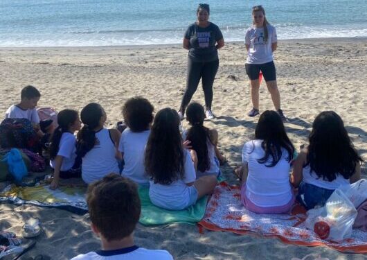 Alunos participam de atividades práticas sobre a vegetação jundu na Praia da Mococa