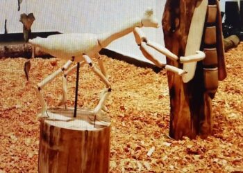 Exposição ‘Natureza: Os seres pequenos que nela residem’ é atração em Caraguá