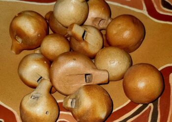 Carlo Cury lança projeto ‘Sonoridade Ancestral – Escola’ e recebe alunos da rede municipal de Caraguatatuba