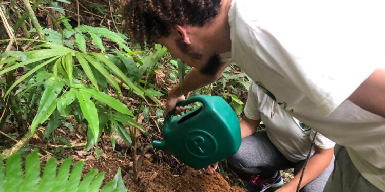 Prefeitura de Bertioga realiza ação de conservação em nascente modelo