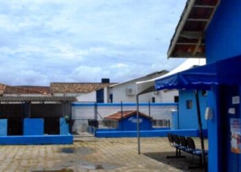 Centro de Controle de Zoonoses de Caraguatatuba orienta sobre recolhimento de animais