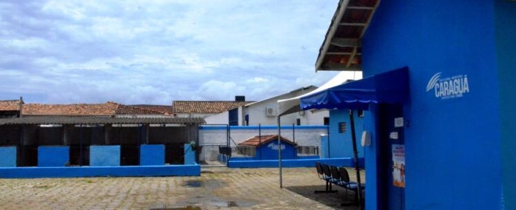 Centro de Controle de Zoonoses de Caraguatatuba orienta sobre recolhimento de animais