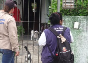 Caraguatatuba inicia primeira avaliação de densidade larvária do ano para acompanhar situação de dengue na cidade