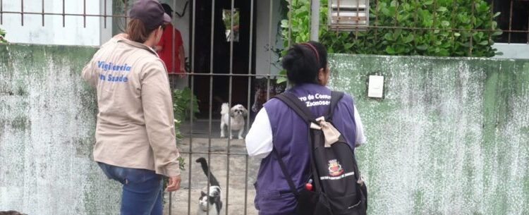 Caraguatatuba inicia primeira avaliação de densidade larvária do ano para acompanhar situação de dengue na cidade