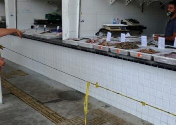 Prefeitura de Caraguatatuba alerta para início do defeso do camarão