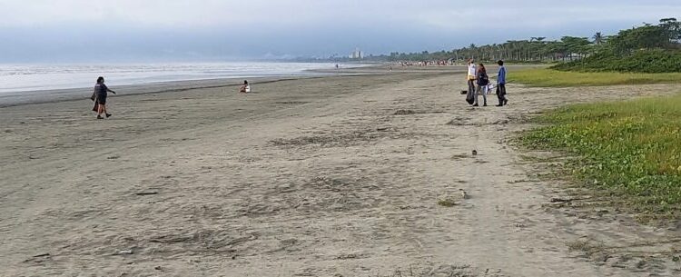 Caraguatatuba amanhece limpa e organizada após festas de Réveillon