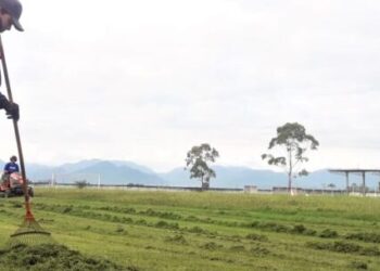 Campos de futebol recebem ação de limpeza e manutenção em Caraguatatuba