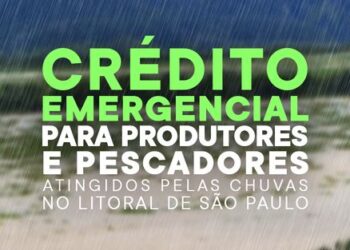 Secretaria abre linha de crédito emergencial para atender produtores e pescadores atingidos por tragédia no litoral paulista