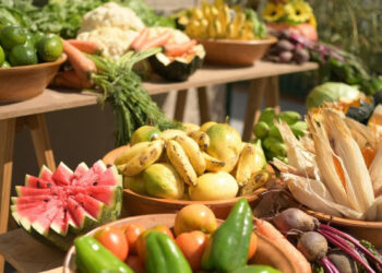 Presidente Lula retoma Consea e prioriza o combate à fome