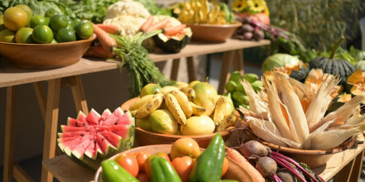 Presidente Lula retoma Consea e prioriza o combate à fome