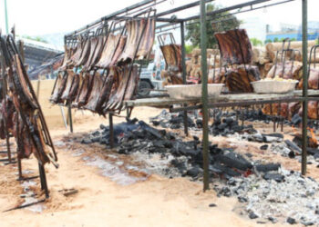 Festival Carnivoria terá 12 estações gastronômicas e mais de seis toneladas de carnes para consumo