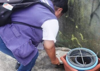 Caraguatatuba reforça cuidados para evitar proliferação do mosquito Aedes aegypti