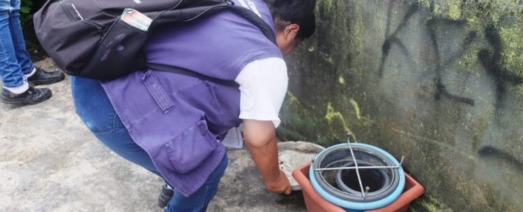 Caraguatatuba reforça cuidados para evitar proliferação do mosquito Aedes aegypti