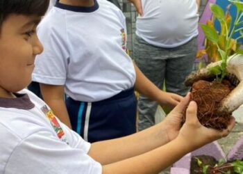 Secretaria de Educação abre inscrições para voluntariado em projetos de educação ambiental nas escolas