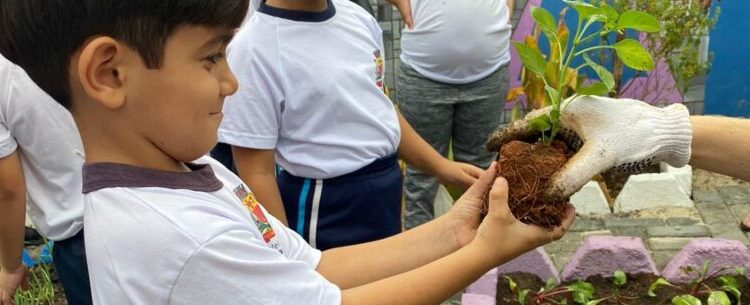 Secretaria de Educação abre inscrições para voluntariado em projetos de educação ambiental nas escolas