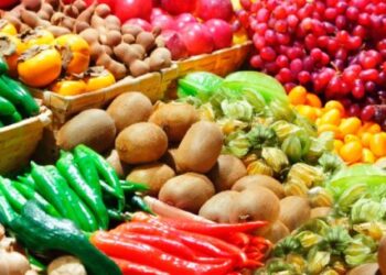 Prefeitura de Caraguatatuba inicia nesta semana pré-cadastramento para novos feirantes da cidade