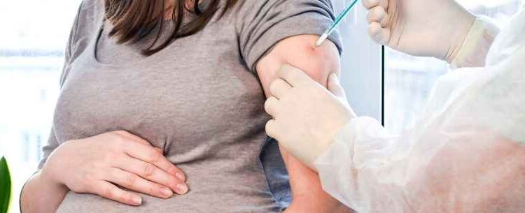 Gestantes e puérperas já podem receber a vacina bivalente contra Covid-19 em Caraguatatuba