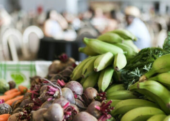 Governo Federal reajusta em até 39% o valor destinado à merenda escolar