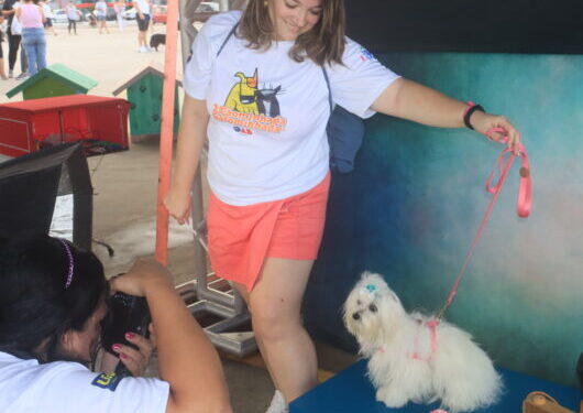 2ª Cãominhada e Gatominhada é sucesso na Praça da Cultura