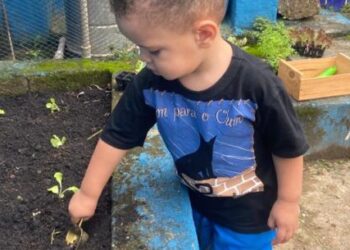 Projeto Horta Educativa trabalha práticas sustentáveis, preservação ambiental e alimentação saudável nas escolas