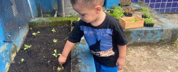 Projeto Horta Educativa trabalha práticas sustentáveis, preservação ambiental e alimentação saudável nas escolas